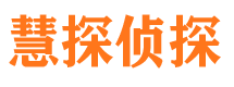 陵川侦探公司